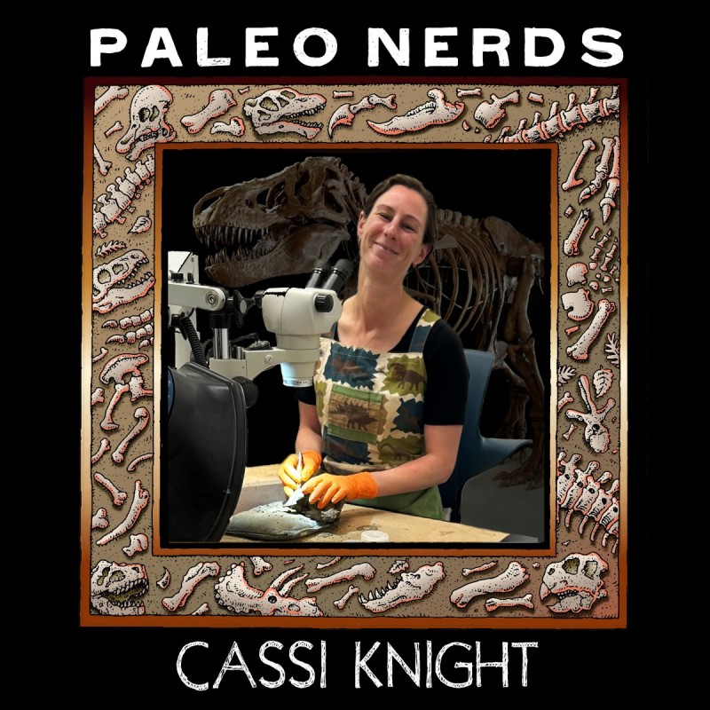 Ep #74 Resurrecting Dinosaurs One Chip at Time with MOR's Cassi Knight