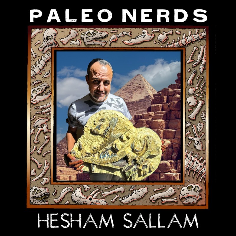 Ep #80 Walking Egyptian Whales from the Sahara with Dr. Hesham Sallam