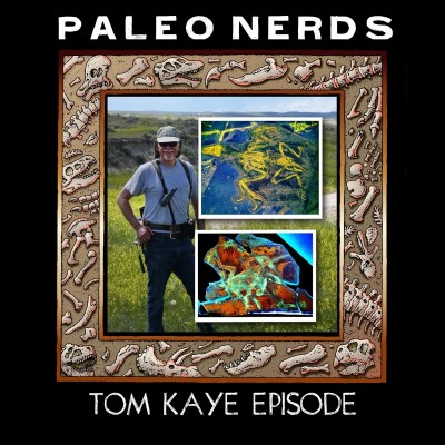 Episode #7: Using Lasers to Stare Into the Eyes of a Pterosaur  with Tom Kaye
