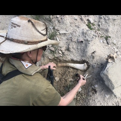 Carol Kaye uncovering a bison bone near their property in Wyoming.