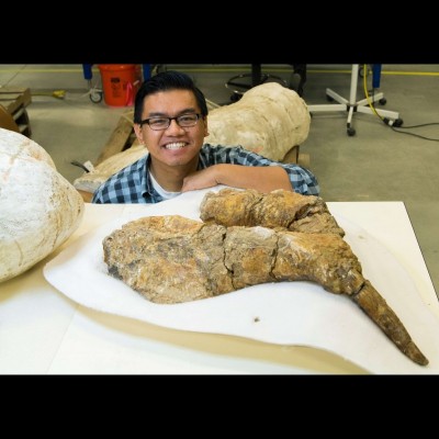 Gabriel with the lower jaw of a Desmostylus from southern California. Check out the size of that lower tusk!