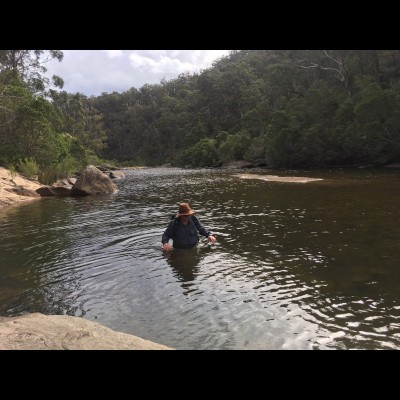 In the field at the &nbsp;Genoa River, a Devonian fossil site in SE Australia. John and his team spent their days wandering up the river searching for fossils.