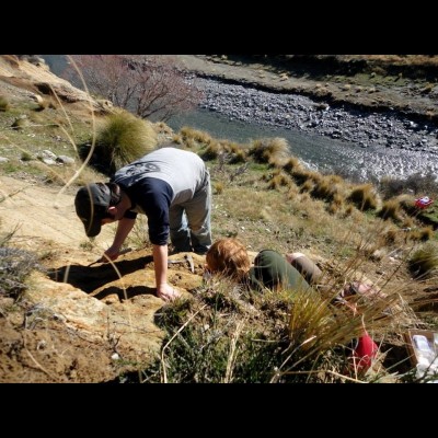 Bobby helped fellow undergrad Marcus Richards excavate a tuna-like skeleton from the top of a 40-foot cliff (yikes!) in New Zealand.The team jacketed the fossil in plaster before sliding it down the cliff in a burlap sack.&nbsp; A very satisfying way to get a heavy fossil out of a very scary location!
&nbsp;