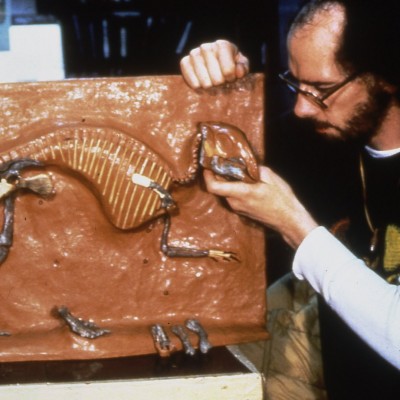 Jack in the prep lab at Princeton University, reconstructing the skeleton of a nestling Maiasaura peebesorum collected from Montana in 1978.
Source: twitter.com/dustydino
