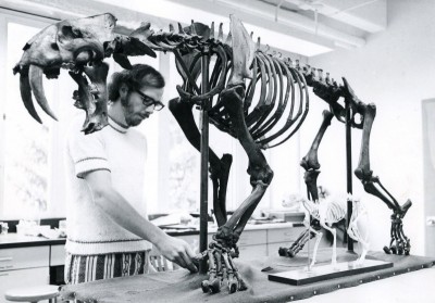 Jack put his first fossil skeleton together in 1971 at the University of Montana. This Smilodon specimen still resides in the geology building!