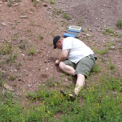 Seeing JP laying down against a hill looking for shark fossils is a common sight. Here is JP in 2009, looking for middle Pennsylvanian (315 million years ago) shark teeth from the Naco Formation near Payson Arizona, like this Petalodus ohioensis tooth.