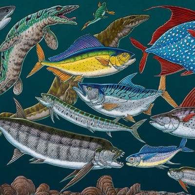 &lsquo;Kansas Ocean Life&rsquo;, a colored pencil drawing by Ray depicting creatures that swam in the warm shallow waters of the Western Interior Seaway, some 80 million years ago.