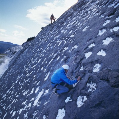 Phil Currie collecting some of the dino prints that&nbsp;didn't&nbsp;collapse.
&copy;Louie Psihoyos
