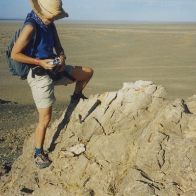 This Silurian outcrop is in the Gobi Desert, Mongolia.&nbsp; One of the many sites Connie has compared with Southeastern Alaska.