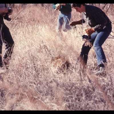 John on a 10th-grade field trip, catching porcupines in Kansas.