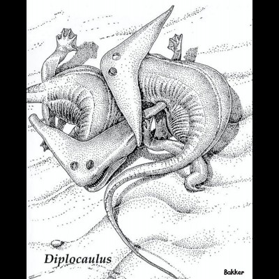 Diplocaulus, a bizarre 'boomerang' headed amphibian, has also been found at the Permian quarry near Seymour. Texas.&nbsp;