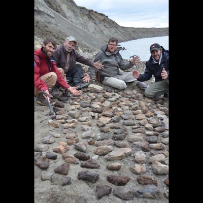 Duckbill dinosaur bones galore... all collected in 20 minutes time! Pat Druckenmiller, Kevin May, Kirk Johnson and Greg Erickson on the Colville River in 2012. Photo by Ray.