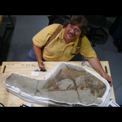 JK drools over the Tyrrell museums's beautiful Myledaphus&nbsp;fossil, a Cretaceous guitarfish.