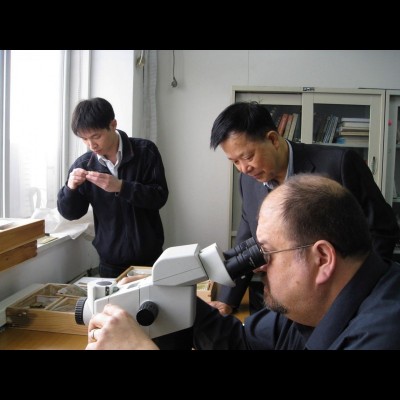 Looking at Vetulicolians at Northwest University in Xi&rsquo;an, China, 2010. Getting ever more mystified!