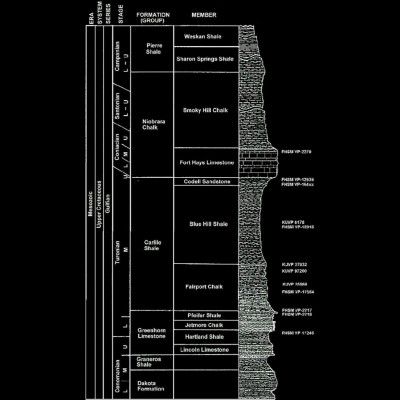 Stratigraphic column of the Late Cretaceous rock-units of western Kansas.