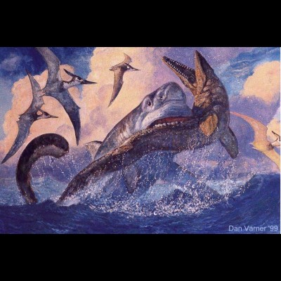 


This dramatic painting done by the late by Dan Varner was created especially for Mike Everhart's poster presentation at the 1999 Society of Vertebrate Paleontology meeting in Denver.&nbsp; It shows a large Cretoxyrhina mantelli&nbsp;shark taking a bite out of a juvenile&nbsp;Tylosaurus.&nbsp;&nbsp;While we are unsure if these sharks actually attacked live mosasaurs, or scavenged their carcasses, feeding by sharks on mosasaurs is supported by a lot of fossil evidence. You can see Mik'es tribute to Dan's incredible art at :http://oceansofkansas.com/varner.html&nbsp;


