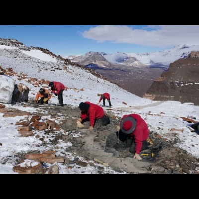 Ted and a team of fellow paleontologists splitting Devonian aged rocks in Beacon Valley, Antarctica.