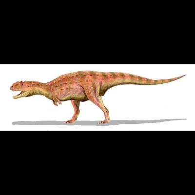 Majungasaurus is a genus of theropod dinosaur that lived in Madagascar from 70 to 66 million years ago, at the end of the Cretaceous Period.