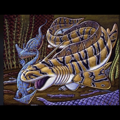 Ray's artwork from his book Sharkabet depicting a Xenacanth shark devouring a hapless little Diplocaulus. : (