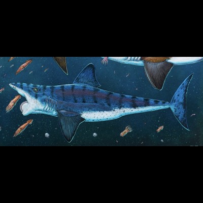 Ray Troll's Helicoprion painting