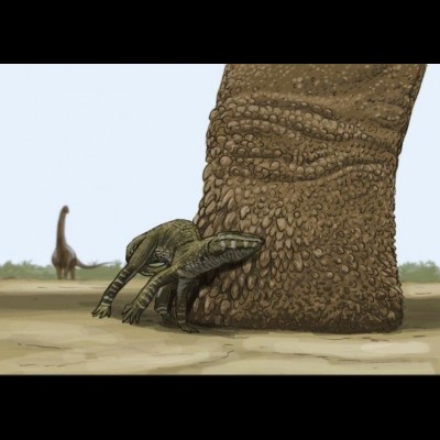 A big sauropod gets a foot rub from a tiny admirer...