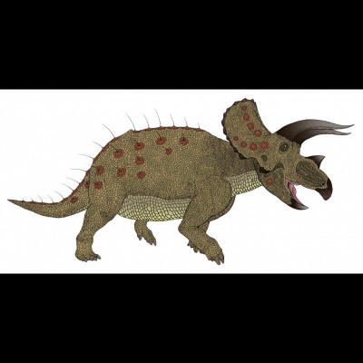 Lane the Triceratops illustration by Russell Hawley