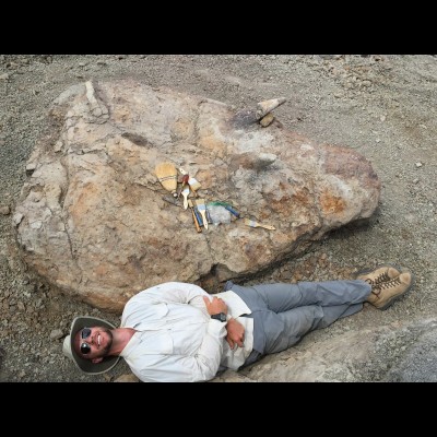 With a fine Triceratops skull