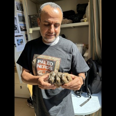 Hesham and an early elephantoid tooth