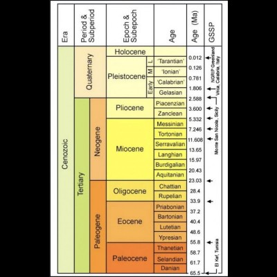 The CENOZOIC