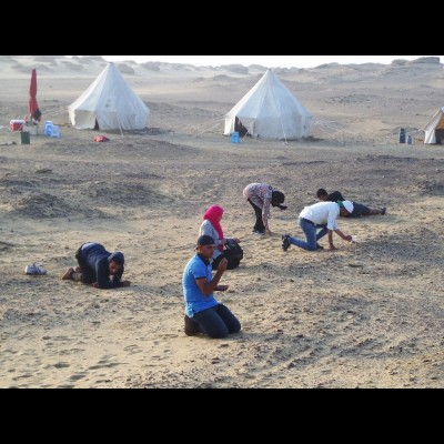 Fayum field work