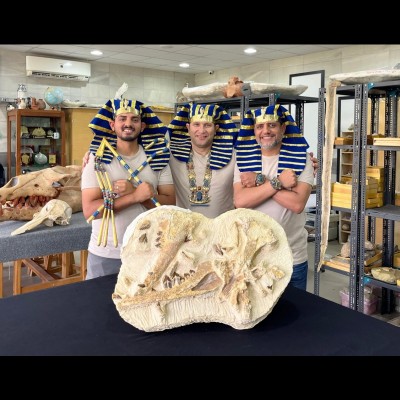 Abdullah, Sameh, Hesham with Tutcetus fossil and Pharaonic attire of King Tutankhamun.