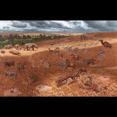 Paleo artist, Jay Matternes, did this incredible mural for the Smithsonian of the Miocene fauna, basing his research on fossils found mostly in Nebraska. Check out episode # 61, our inteview with Jay at https://www.paleonerds.com/podcast/jaymatternes