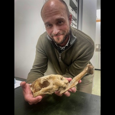 Ash Poust and an incredible fossil of a Nimravus 'false saber tooth' cat that died with one of it's sabers stuck in a fellow cat's leg bone, immortalized in a poem called 'The Innocent Assassins' written by Loren Eiseley who was there when it was found in Nebraska. "This was no ordinary death, though forty million years lay between us and that most gaping snarl. Deep-driven to the root a fractured scapula hung on the mighty saber undetachedTwo beasts had died in mortal combat, for the bone had never been released; there was no chance this cat had ever used its fangs again or eaten&mdash; died there, in short, though others of its kind grew larger, larger, suddenly were gone" For the whole poem go to&nbsp; https://www.eiseley.org/Resources/reader/teachers/pdf/innocent-assassins-learning-supplement-lesson-05.pdf