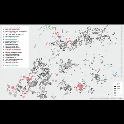 A map of the rhino barn's death assemblage from : https://ashfall.unl.edu/file_download/AshfallSkeletonMap.pdf