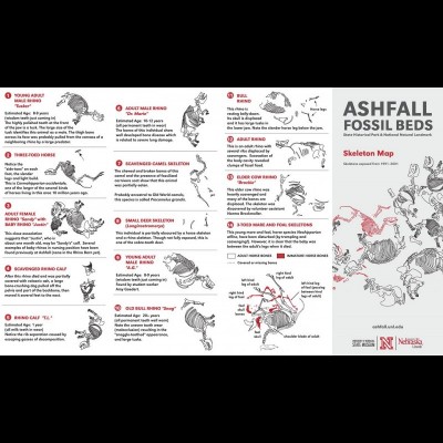 The individuals from the huge Miocene graveyard at Ashfall. From https://ashfall.unl.edu/file_download/AshfallSkeletonMap.pdf